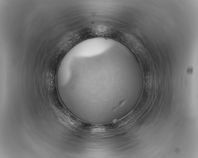 X0000093520653200710261220