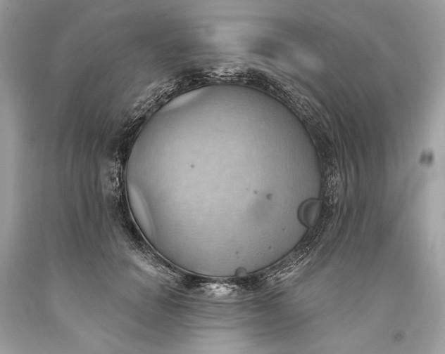 X0000093520654200710261220