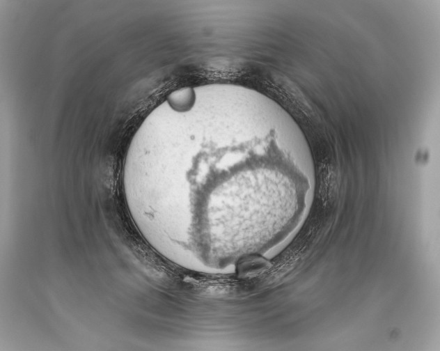 X0000093520655200710261220