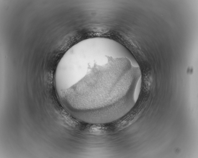 X0000093520657200710261220