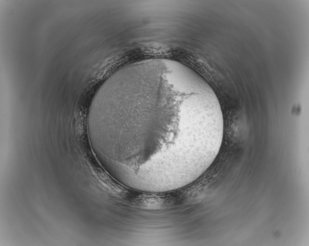 X0000093520658200710261220