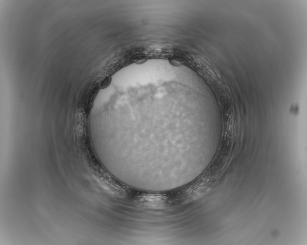 X0000093520659200710261220