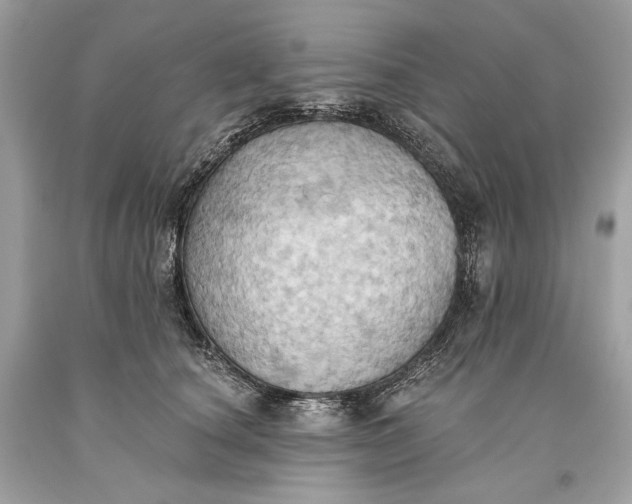 X0000093520660200710261221