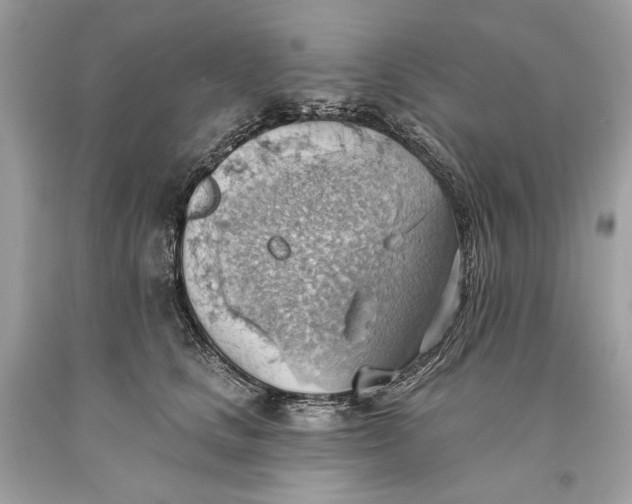 X0000093520661200710261221