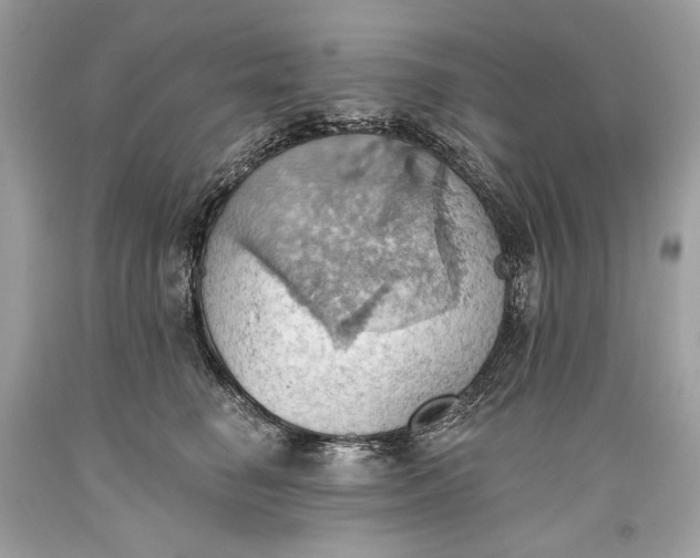 X0000093520662200710261221