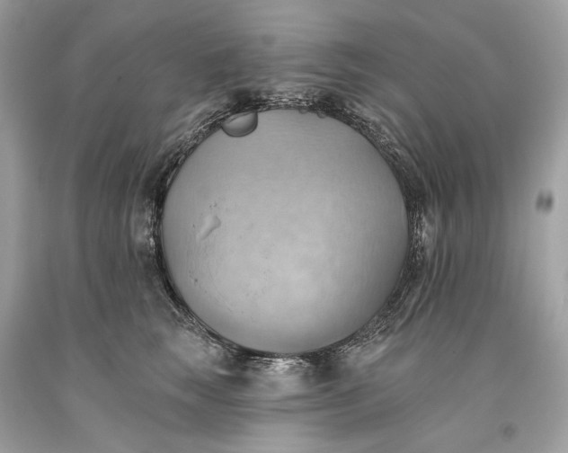 X0000093520663200710261221