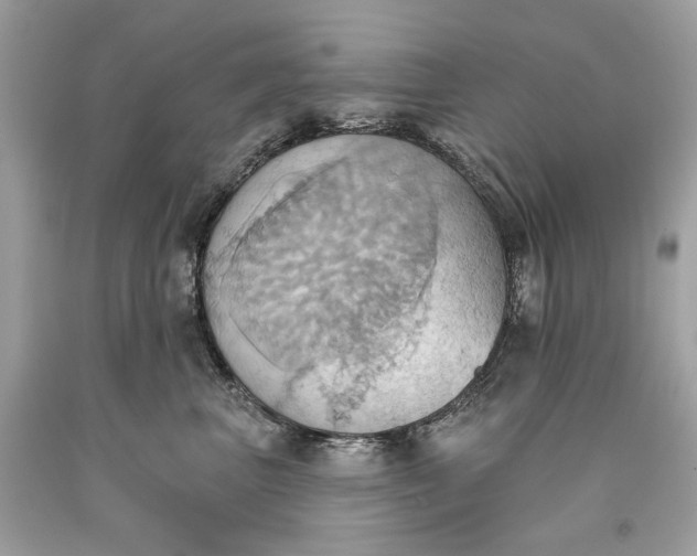 X0000093520667200710261221