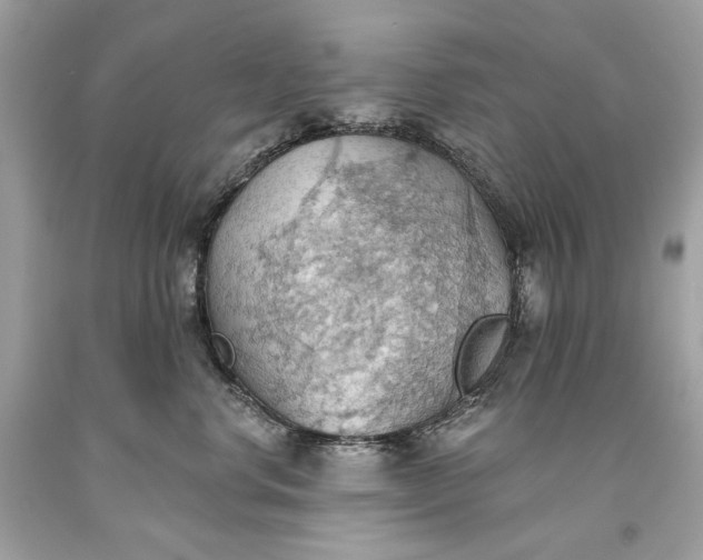 X0000093520668200710261221