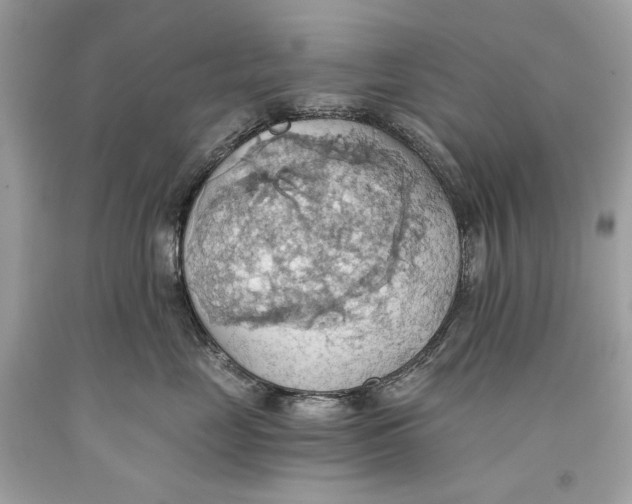 X0000093520669200710261221