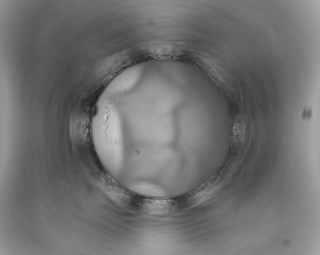 X0000093520671200710261221