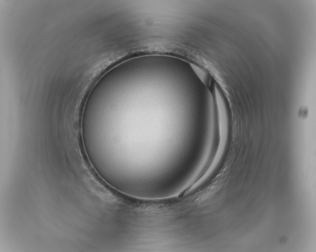 X0000093520673200710261220