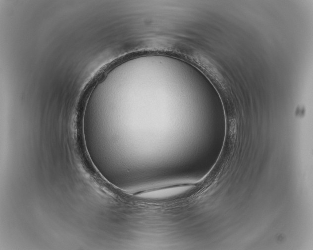 X0000093520676200710261220