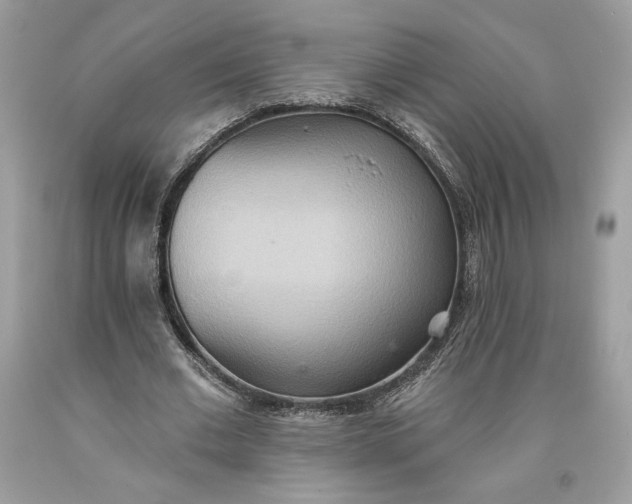 X0000093520677200710261220