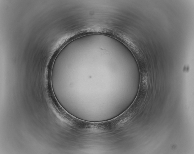 X0000093520678200710261220