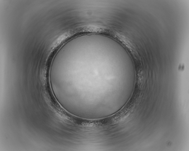 X0000093520679200710261220