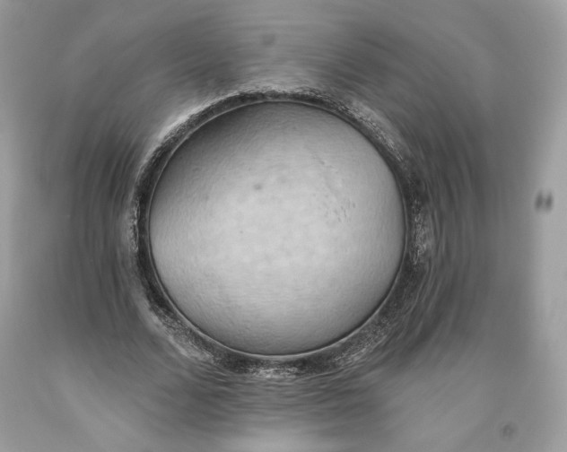 X0000093520680200710261220