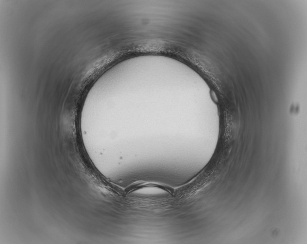 X0000093520681200710261220