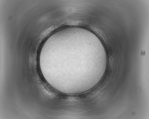 X0000093520682200710261220