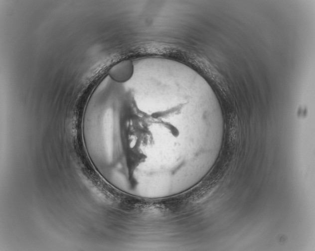 X0000093520683200710261220