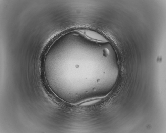 X0000093520684200710261220