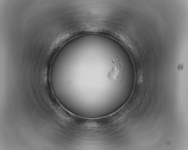 X0000093520685200710261220