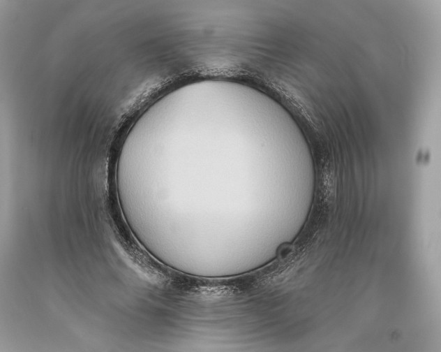 X0000093520686200710261220