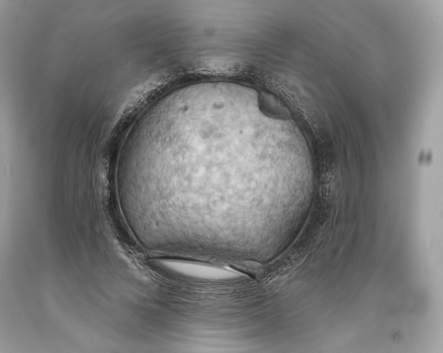 X0000093520688200710261220