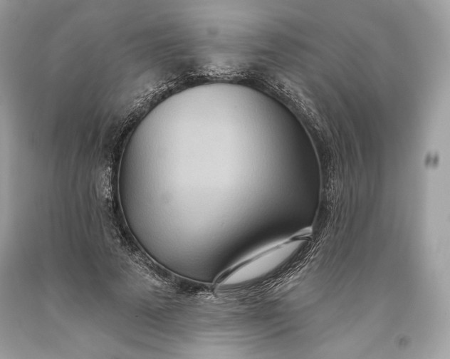 X0000093520689200710261220