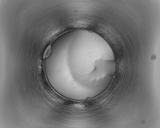 X0000093520692200710261220