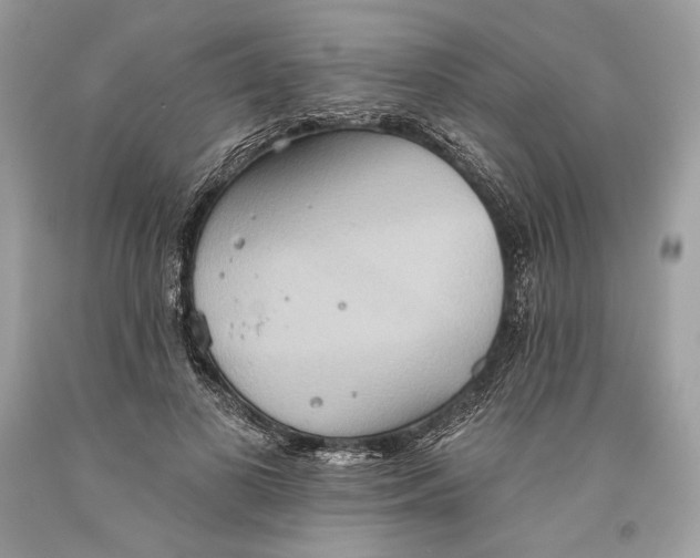 X0000093520693200710261220