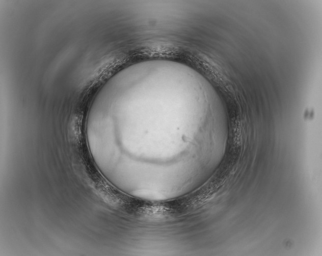 X0000093520695200710261219