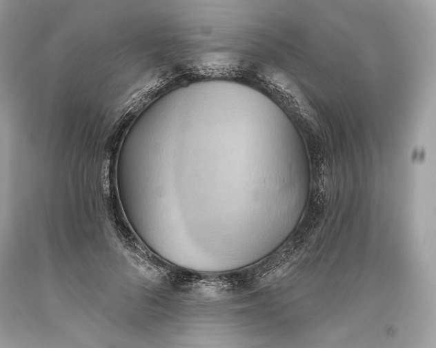 X0000093520696200710261219