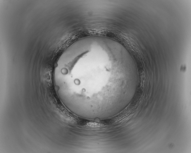 X0000093520699200710261219