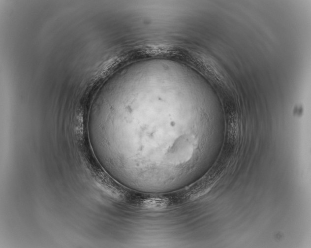 X0000093520700200710261219