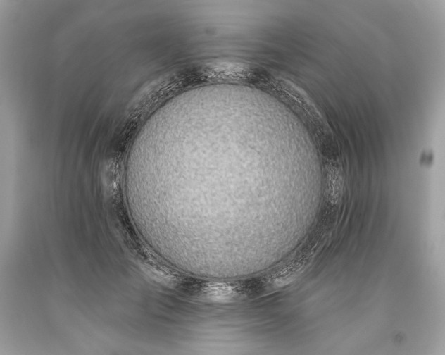 X0000093520701200710261219