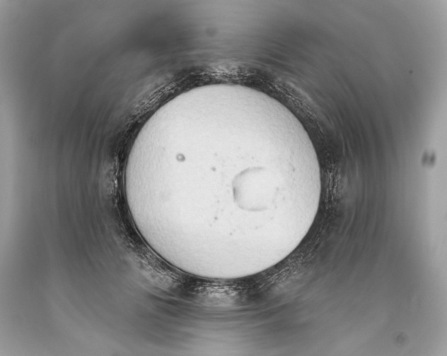 X0000093520702200710261219