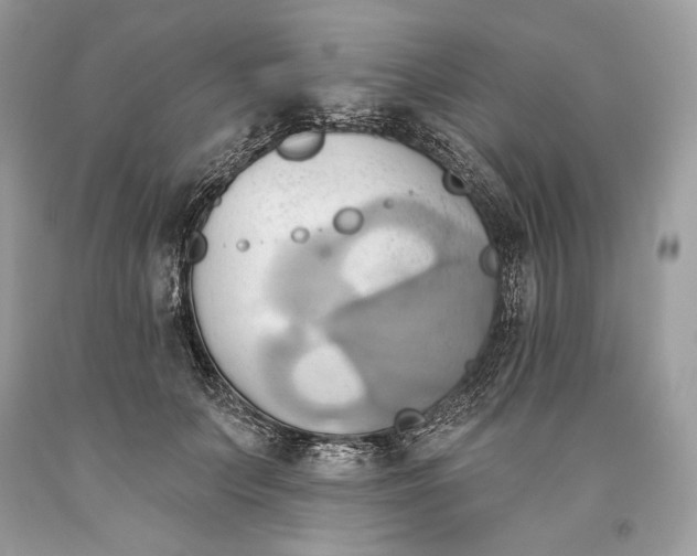 X0000093520703200710261219