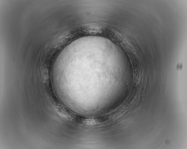 X0000093520704200710261219