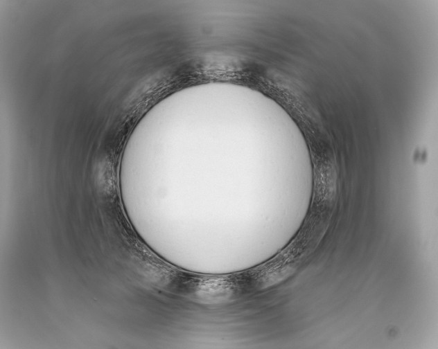 X0000093520705200710261219