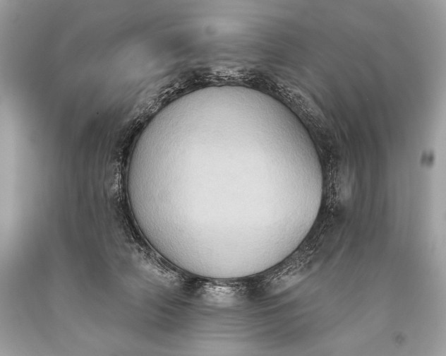 X0000093520706200710261219