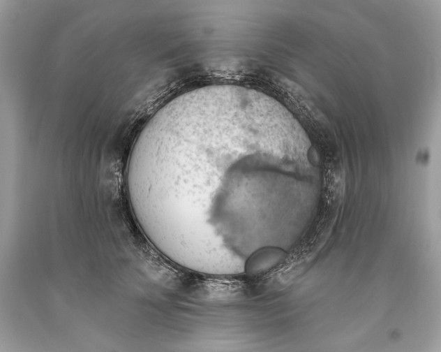 X0000093520707200710261219