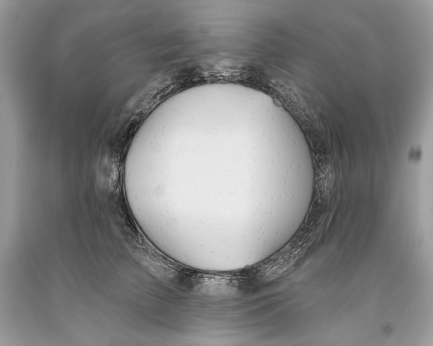 X0000093520709200710261219