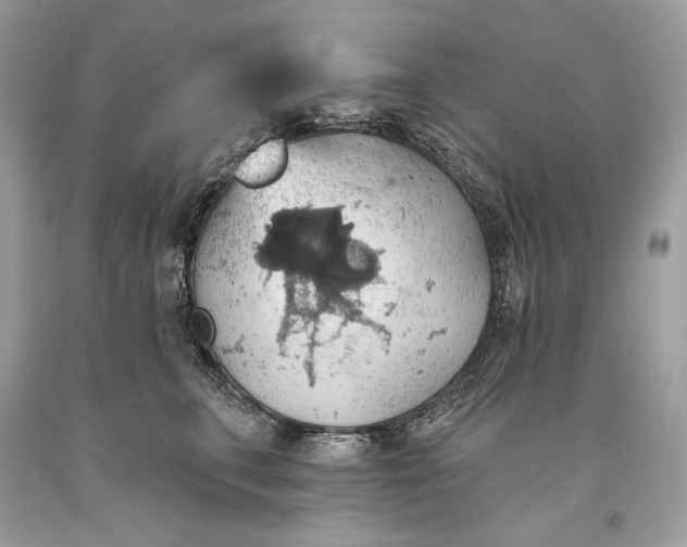 X0000093520711200710261219