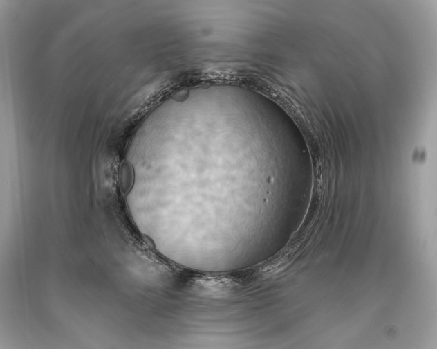 X0000093520712200710261219