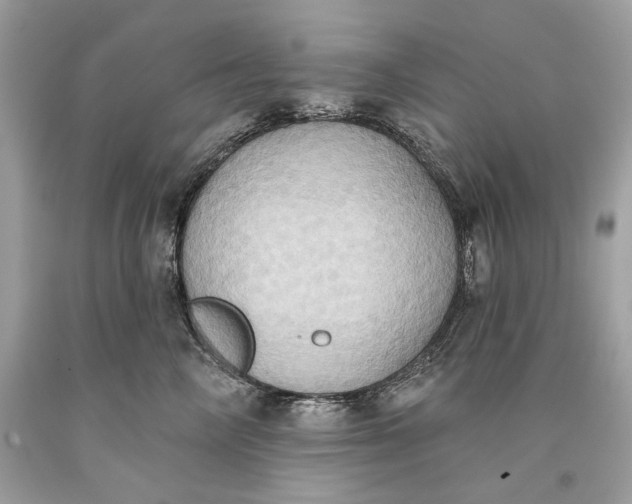 X0000093520714200710261219