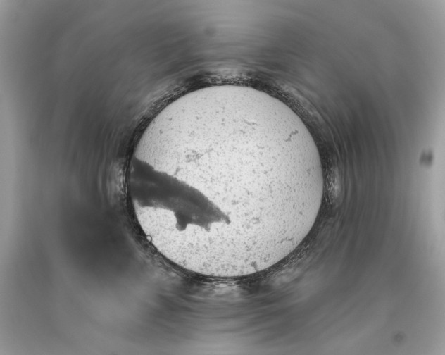 X0000093520715200710261219