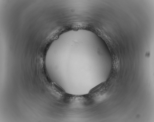 X0000093520716200710261219