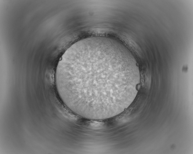 X0000093520718200710261219