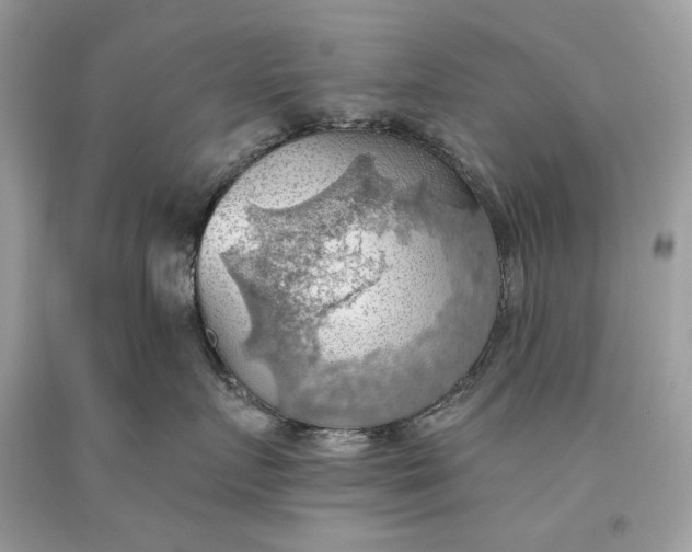 X0000093520719200710261219