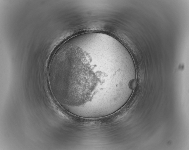 X0000093520721200710261218